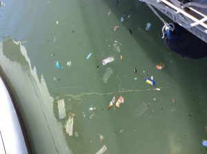 Vattnet är inte direkt rent i vår marina - men det ska vara värre i Cartagena